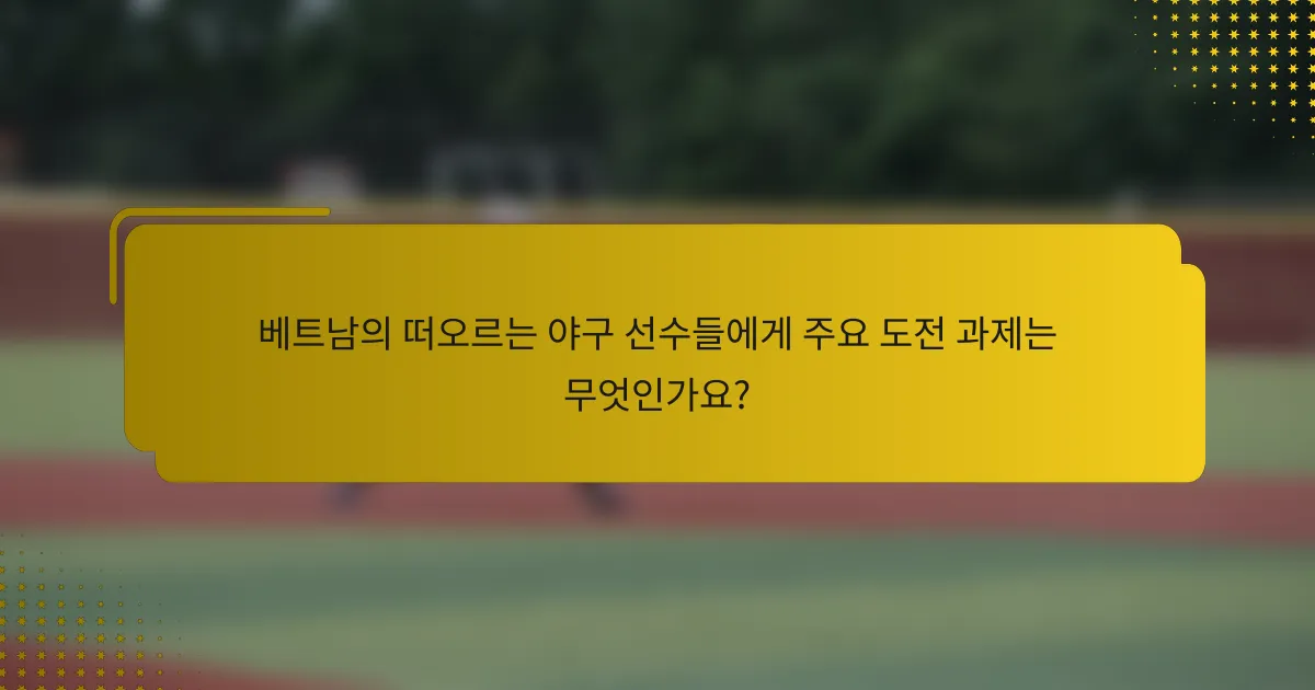 베트남의 떠오르는 야구 선수들에게 주요 도전 과제는 무엇인가요?