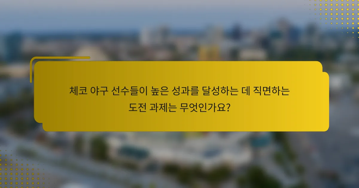 체코 야구 선수들이 높은 성과를 달성하는 데 직면하는 도전 과제는 무엇인가요?