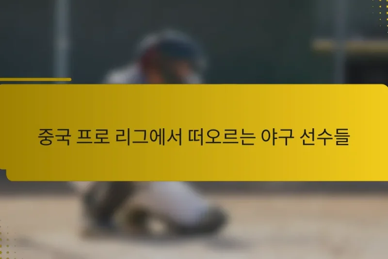 중국 프로 리그에서 떠오르는 야구 선수들